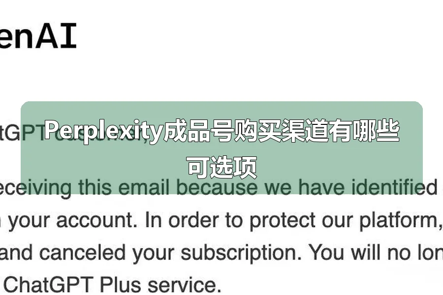 Perplexity成品号购买渠道有哪些可选项
